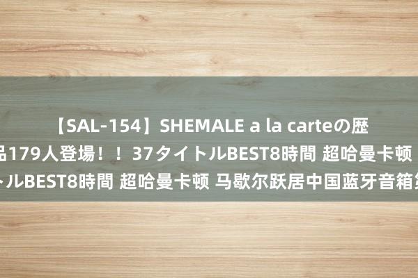 【SAL-154】SHEMALE a la carteの歴史 2 2011～2013 国内作品179人登場！！37タイトルBEST8時間 超哈曼卡顿 马歇尔跃居中国蓝牙音箱第一