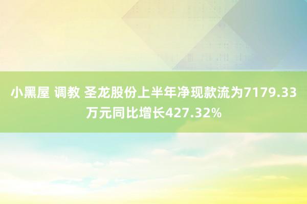 小黑屋 调教 圣龙股份上半年净现款流为7179.33万元同比增长427.32%