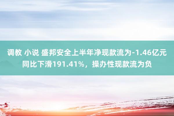 调教 小说 盛邦安全上半年净现款流为-1.46亿元同比下滑191.41%，操办性现款流为负