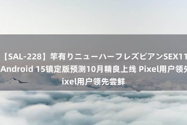 【SAL-228】竿有りニューハーフレズビアンSEX1125分 Android 15镇定版预测10月精良上线 Pixel用户领先尝鲜