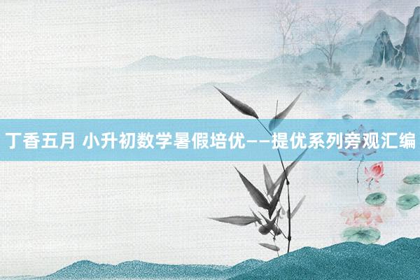 丁香五月 小升初数学暑假培优——提优系列旁观汇编