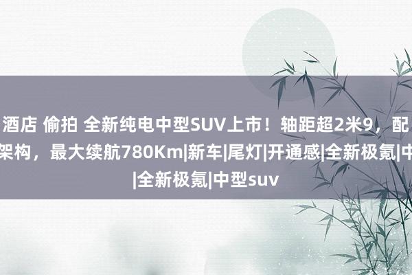 酒店 偷拍 全新纯电中型SUV上市！轴距超2米9，配800伏架构，最大续航780Km|新车|尾灯|开通感|全新极氪|中型suv