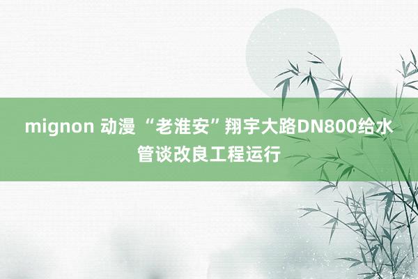 mignon 动漫 “老淮安”翔宇大路DN800给水管谈改良工程运行