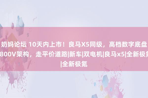 奶妈论坛 10天内上市！良马X5同级，高档数字底盘+800V架构，走平价道路|新车|双电机|良马x5|全新极氪